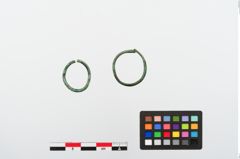 Foto von Bronzering (NHMW-PRAE-024169)